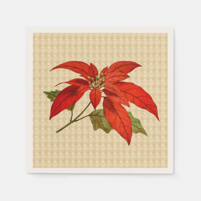 Serviette En Papier Red Poinsettia Ecru Standard Cocktail Napkin (Devant)