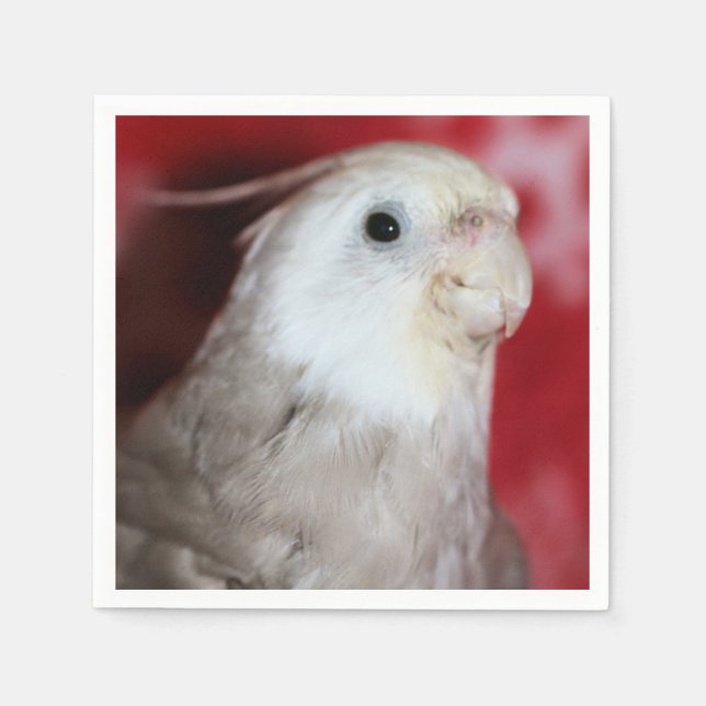 Serviette En Papier Reeples (Devant)