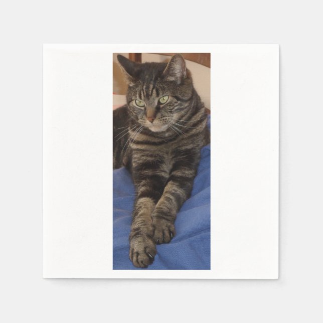 Serviette En Papier Regal Dave White Standard Napkins (Devant)