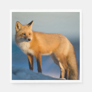 Serviette En Papier Renard Brown