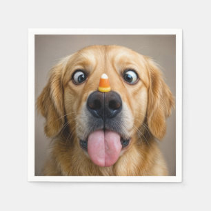 Serviette En Papier Retriever doré aux yeux croisés avec du maïs bonbo