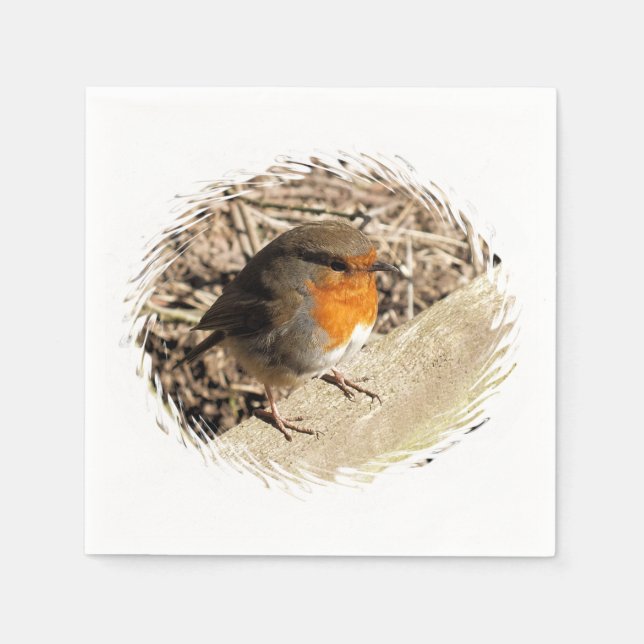 SERVIETTE EN PAPIER ROBIN (Devant)