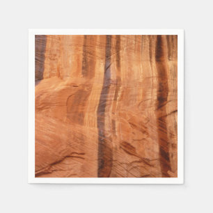 Serviette En Papier Rocher rayé de Double Arch Alcove II à Zion