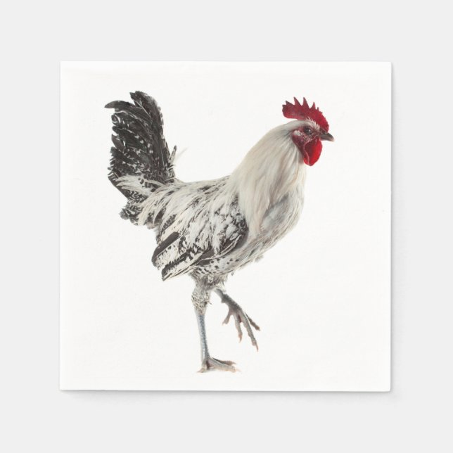 Serviette En Papier Rooster égyptien Fayoumis (Devant)