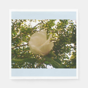 Serviette En Papier Rose blanche