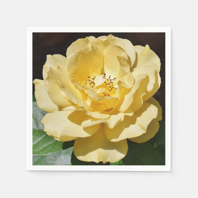Serviette En Papier Rose jaune (Devant)