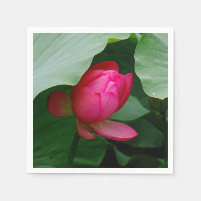 Serviette En Papier Rose profond Lily d'eau (Devant)