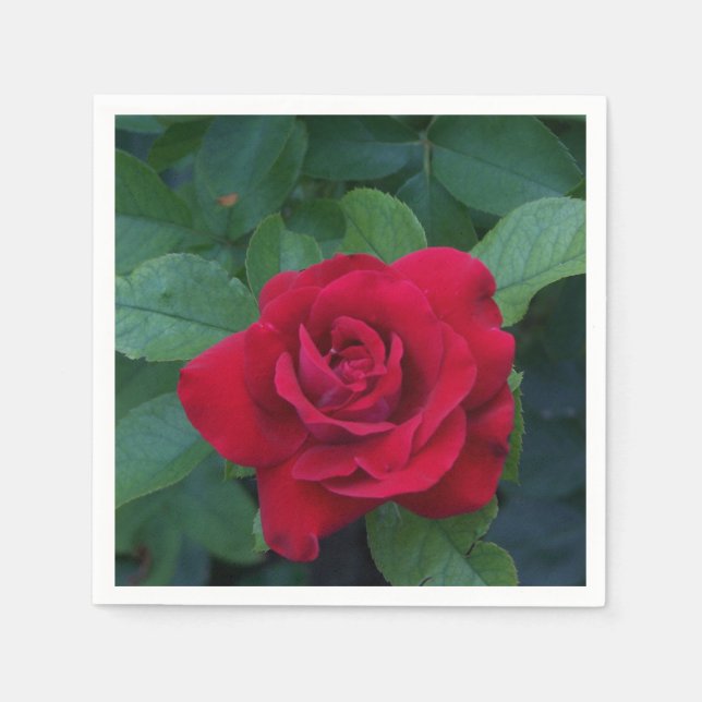 Serviette En Papier Rose rouge de près (Devant)