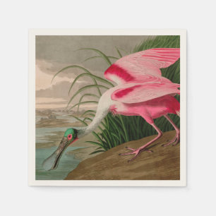 Serviette En Papier Rose Spoonbill Birds of America Audubon Print