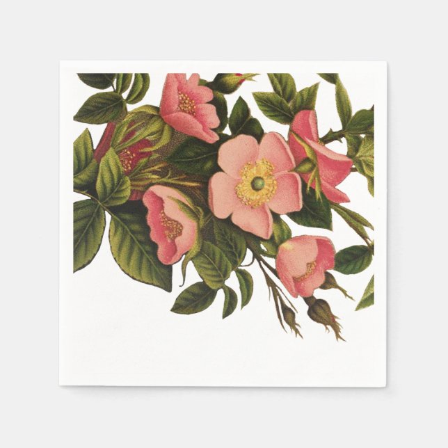 Serviette En Papier Roses Anciennes Beaux Fleurs Botaniques Roses (Devant)