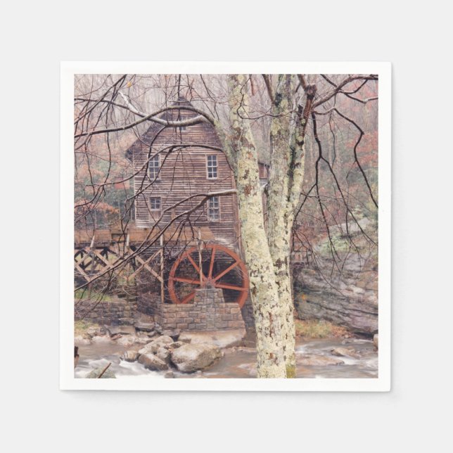 Serviette En Papier Roue (Devant)