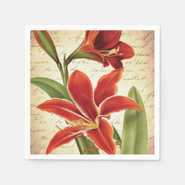 Serviette En Papier Rouge Amaryllis Fleur de Noël Botanique (Devant)