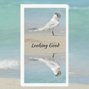 Serviette En Papier Royal Tern