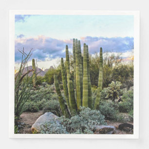 Serviette En Papier Scottsdale Succulent Sunset