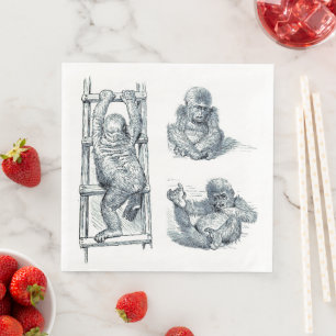 Serviette En Papier Se Poser Autour - Young Ape Gorilla