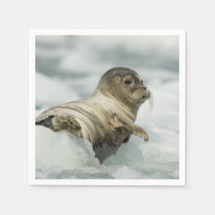 Serviette En Papier Seal pour bébés doux