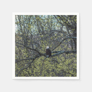 Serviette En Papier Sensibilisation aux aigles