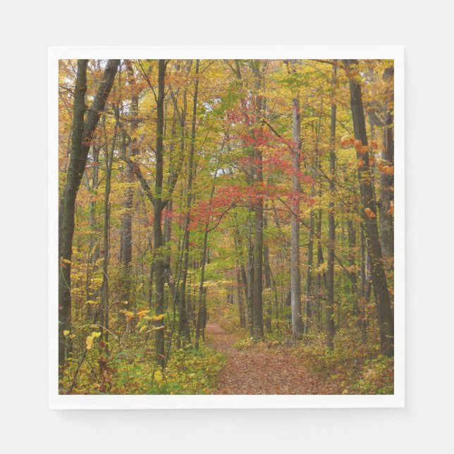 Serviette En Papier Sentier de Laurel Hill en automne (Devant)