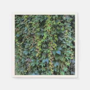Serviette En Papier Serene Green Ivy Wall Suspendre Vins Plantes Feuil