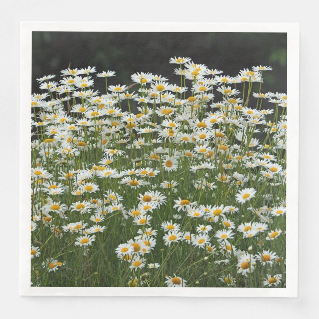 Serviette En Papier Serviettes blanches (Devant)