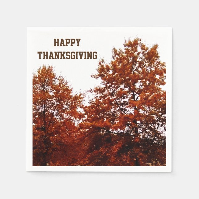 SERVIETTE EN PAPIER SERVIETTES D'AUTOMNE POUR L'ACTION DE GRÂCE (Devant)