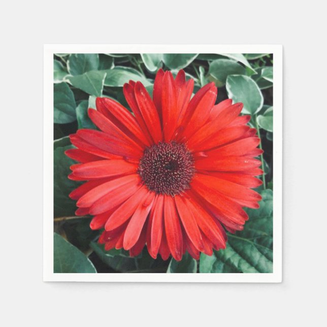 Serviette En Papier serviettes Orange Daisy (Devant)