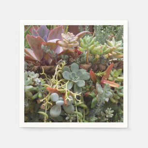 Serviette En Papier Serviettes succulentes