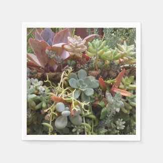 Serviette En Papier Serviettes succulentes