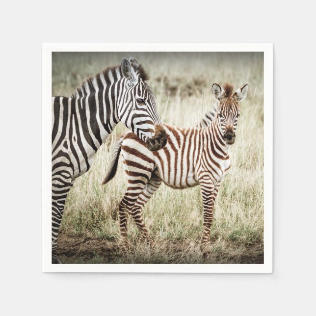 Serviette En Papier Serviettes Zebra & Baby (Devant)
