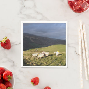 SERVIETTE EN PAPIER SHEEP