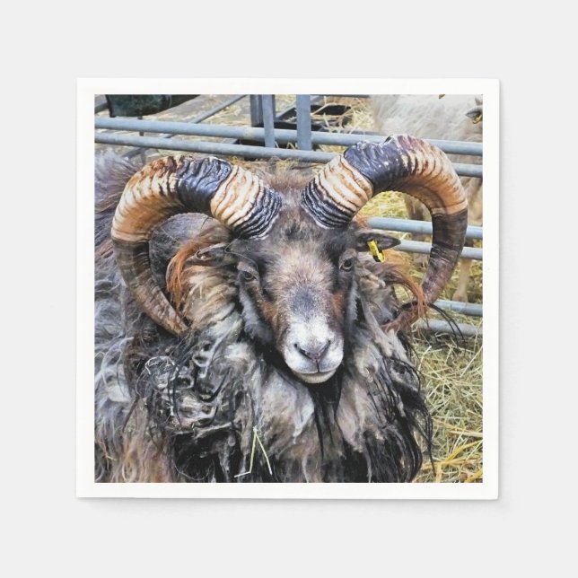 SERVIETTE EN PAPIER SHEEP (Devant)