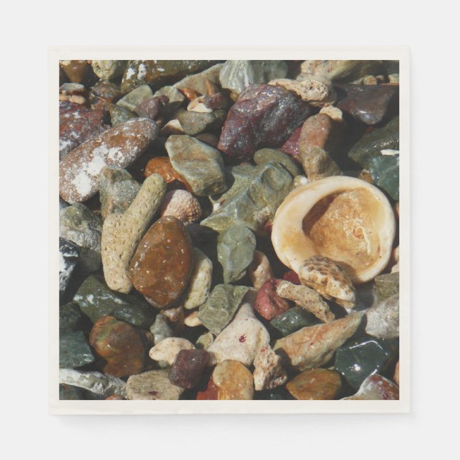 Serviette En Papier Shells, Rocks and Coral Nature Photography (Devant)