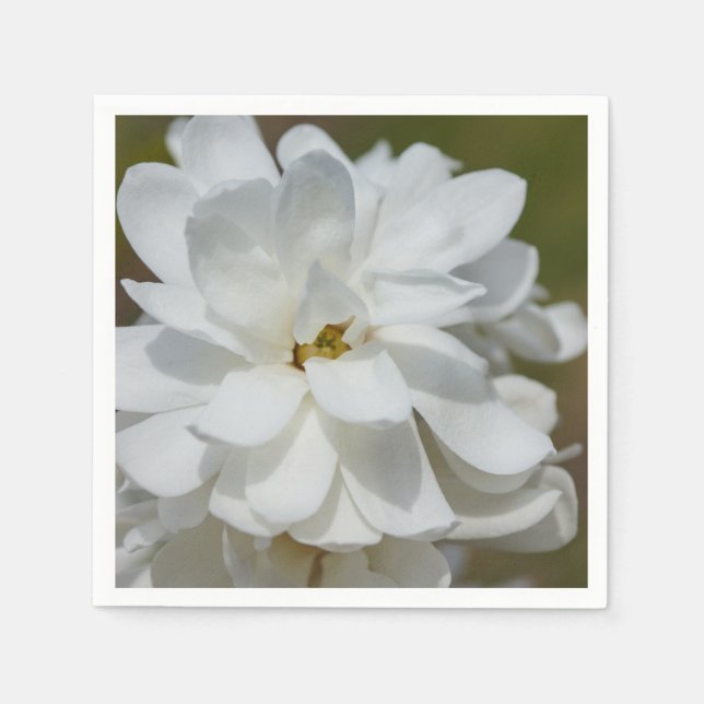 Serviette En Papier Silky Magnolia (Devant)