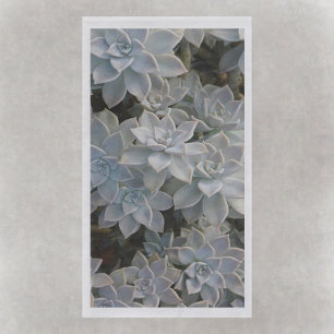 Serviette En Papier Silvery Blue Succulents
