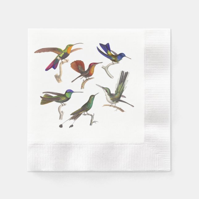 Serviette En Papier Six Beaux Colibris (Devant)