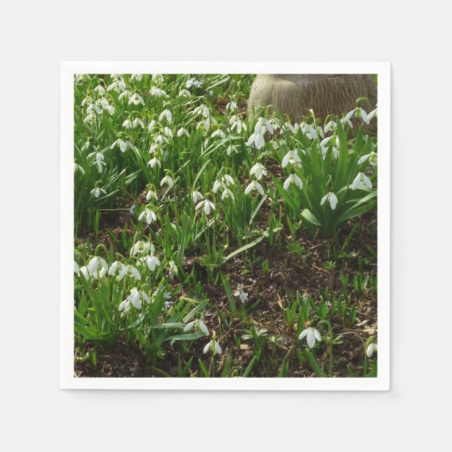 Serviette En Papier Snowdrops (Devant)