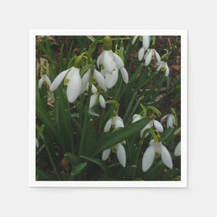 Serviette En Papier Snowdrops I