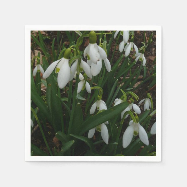 Serviette En Papier Snowdrops I (Devant)