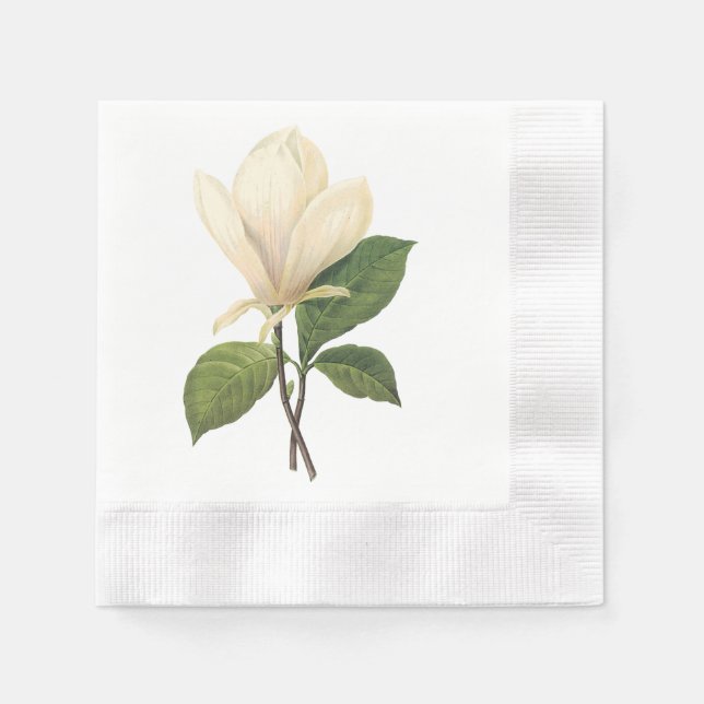Serviette En Papier soucoupe magnolia (Magnolia soulangiana) par Redou (Devant)