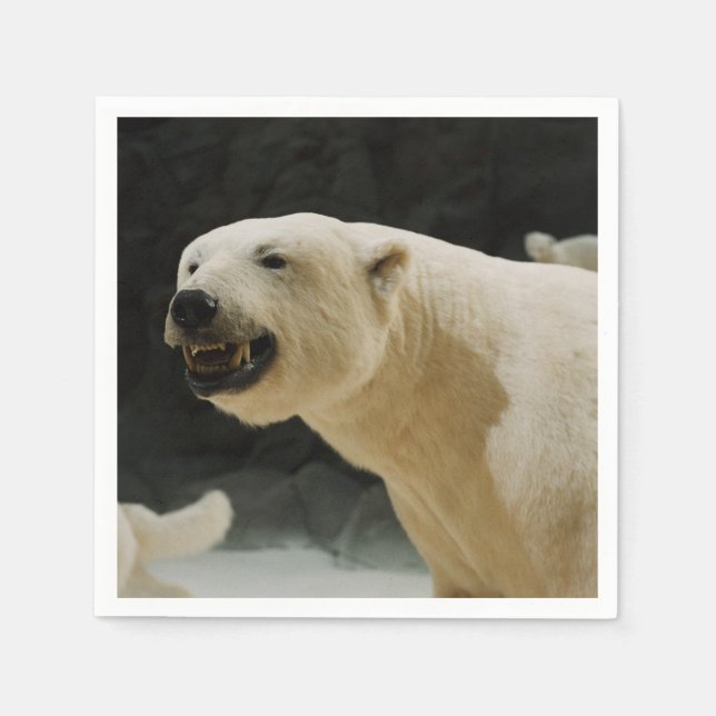 Serviette En Papier Sourire d'ours polaire (Devant)