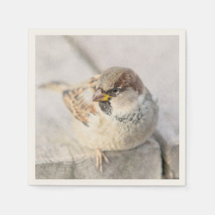 Serviette En Papier Sparrow - Après la transatlantique