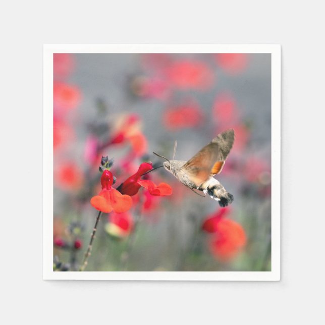 Serviette En Papier Sphinx colibri  (Devant)