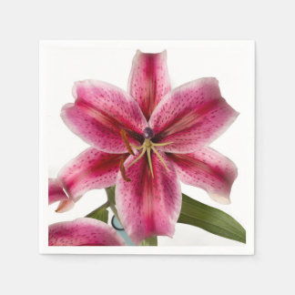 Serviette En Papier Stargazer Lily Cocktail Napkin