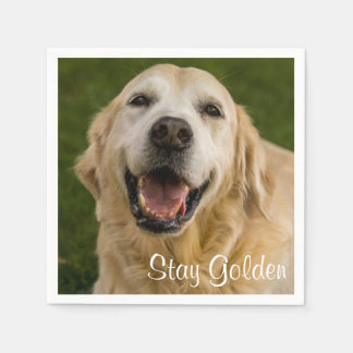 Serviette En Papier "Stay Golden" Golden Retriever Cocktail Napkins