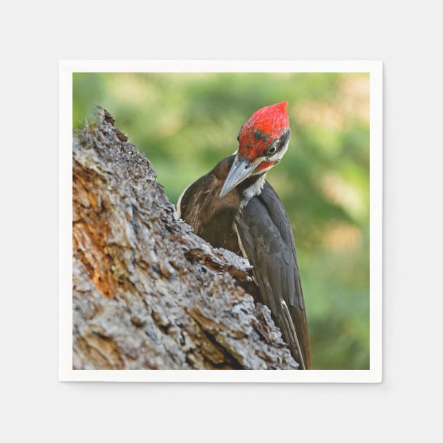 Serviette En Papier Stunning Portrait of Pileated Woodpecker on Tree (Devant)