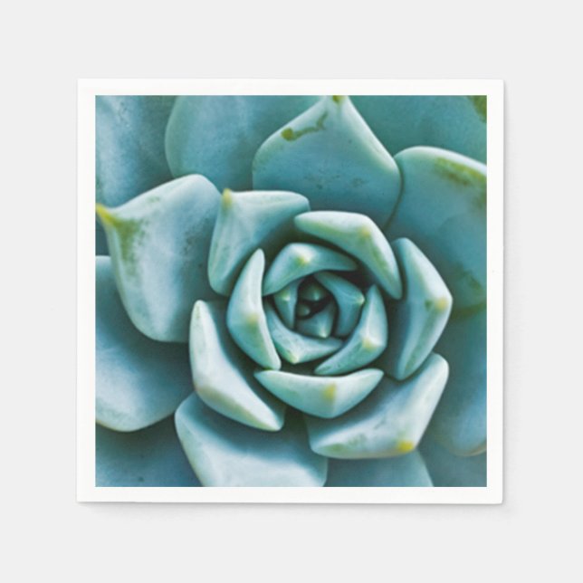 Serviette En Papier Succulente (Devant)
