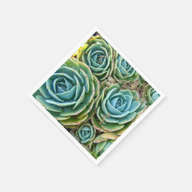 Serviette En Papier Succulents (Coin)