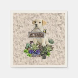 Serviette En Papier Succulents à vendre