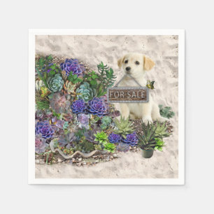 Serviette En Papier Succulents à vendre