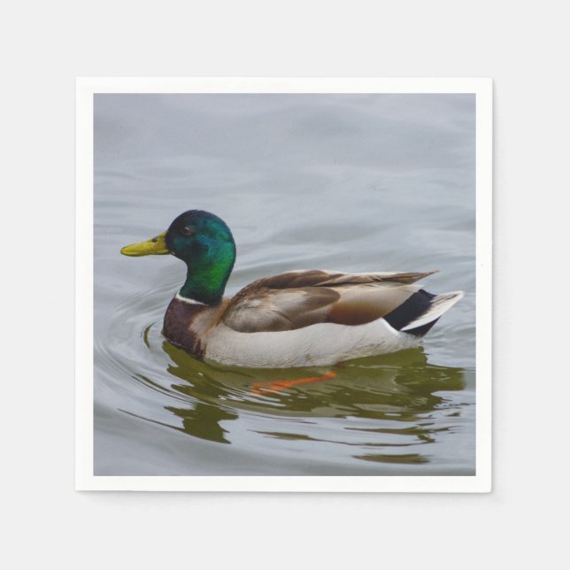 Serviette En Papier Swim Mallard Swim (Devant)